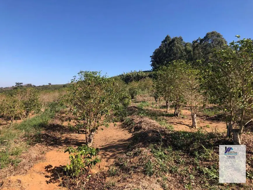 Sítio / Rancho à venda, 157300m2 em Espirito Santo Do Pinhal - SP - imagem 4 Foto 4 de Sítio / Rancho à venda, 157300m2 em Espirito Santo Do Pinhal - SP