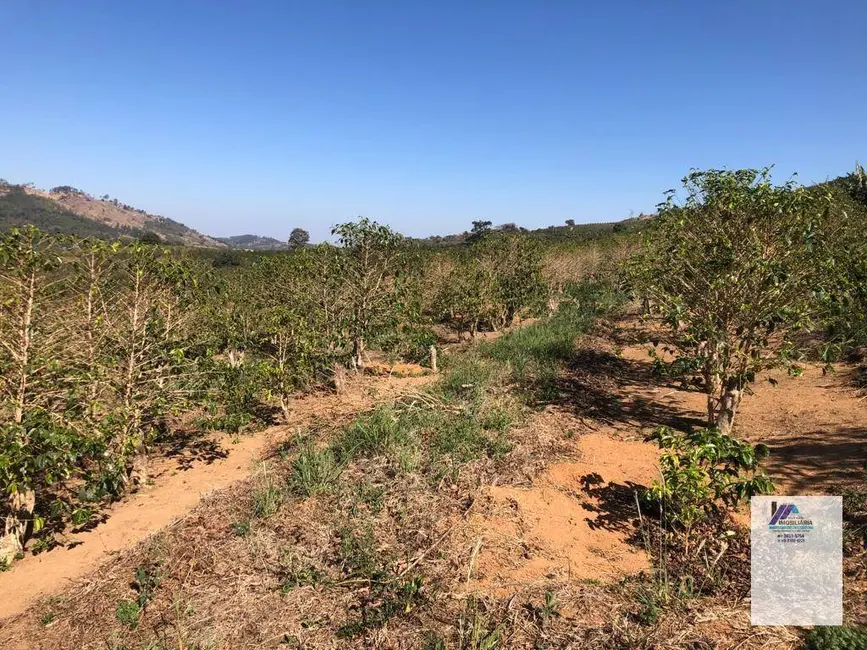 Sítio / Rancho à venda, 157300m2 em Espirito Santo Do Pinhal - SP - imagem 6 Foto 6 de Sítio / Rancho à venda, 157300m2 em Espirito Santo Do Pinhal - SP
