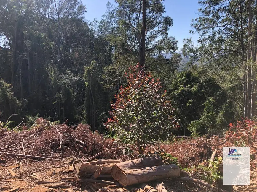 Sítio / Rancho à venda, 157300m2 em Espirito Santo Do Pinhal - SP - imagem 2 Foto 2 de Sítio / Rancho à venda, 157300m2 em Espirito Santo Do Pinhal - SP