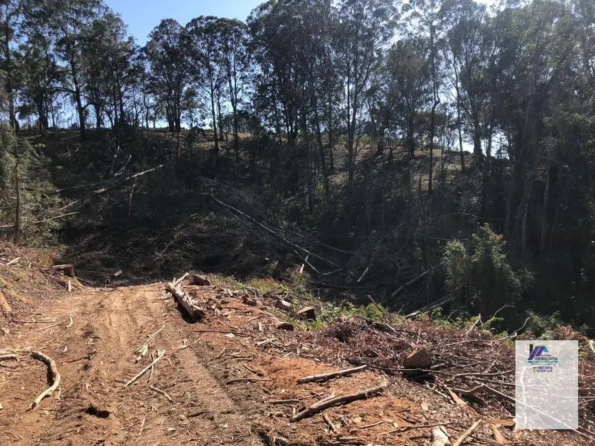 Sítio / Rancho à venda, 157300m2 em Espirito Santo Do Pinhal - SP - imagem 3 Foto 3 de Sítio / Rancho à venda, 157300m2 em Espirito Santo Do Pinhal - SP