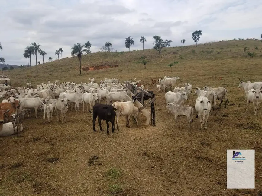 Foto 3 de Fazenda / Haras à venda, 1839200m2 em Mococa - SP
