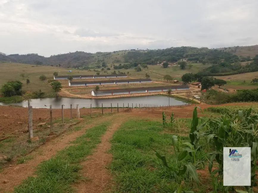 Foto 7 de Fazenda / Haras à venda, 1839200m2 em Mococa - SP