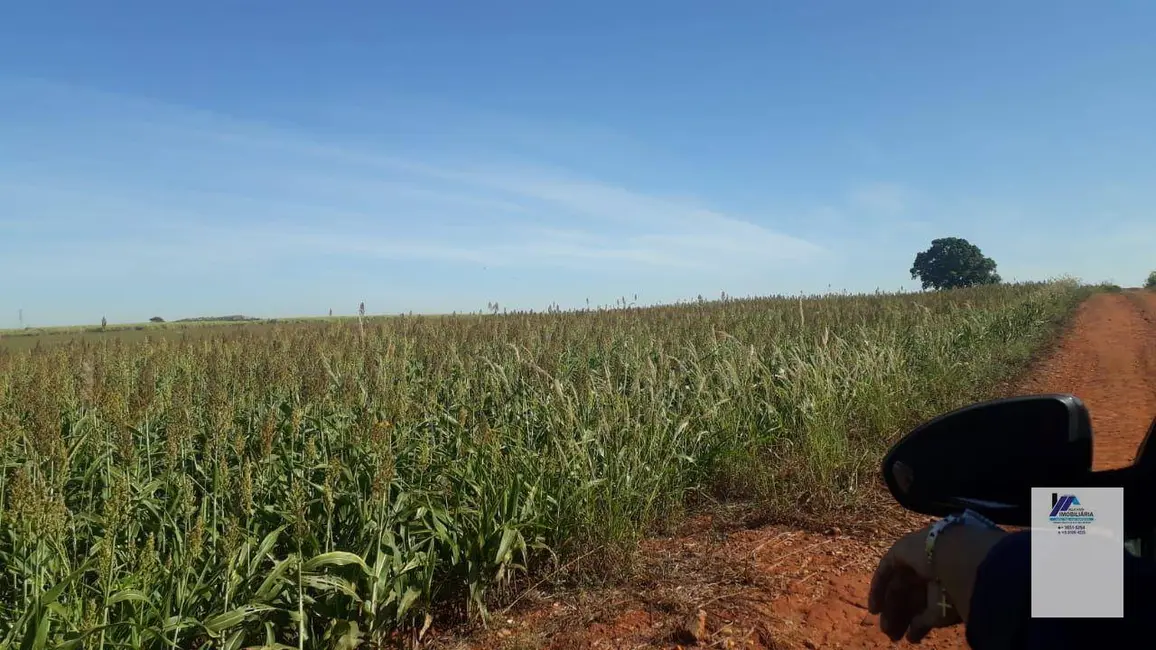 Foto 7 de Sítio / Rancho à venda, 302500m2 em Centro, Mogi Mirim - SP
