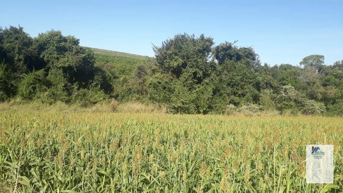 Foto 4 de Sítio / Rancho à venda, 302500m2 em Centro, Mogi Mirim - SP