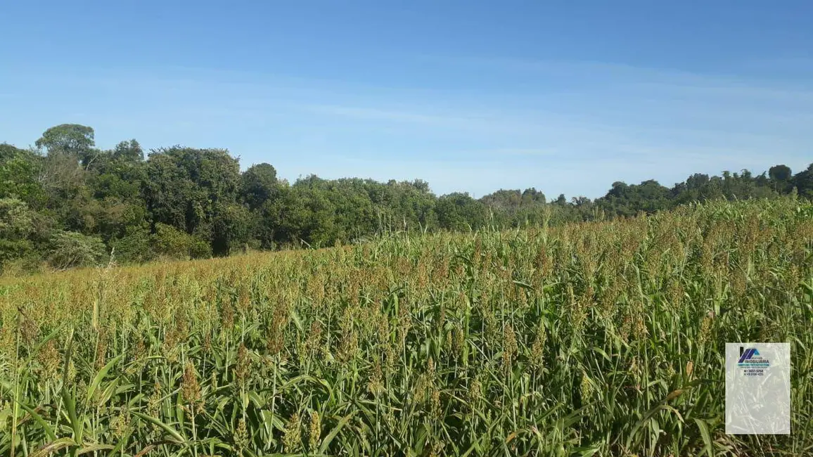 Foto 6 de Sítio / Rancho à venda, 302500m2 em Centro, Mogi Mirim - SP