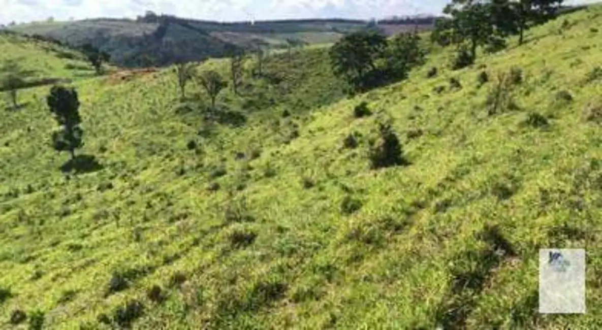 Foto 2 de Sítio / Rancho à venda, 435600m2 em Jacutinga - MG