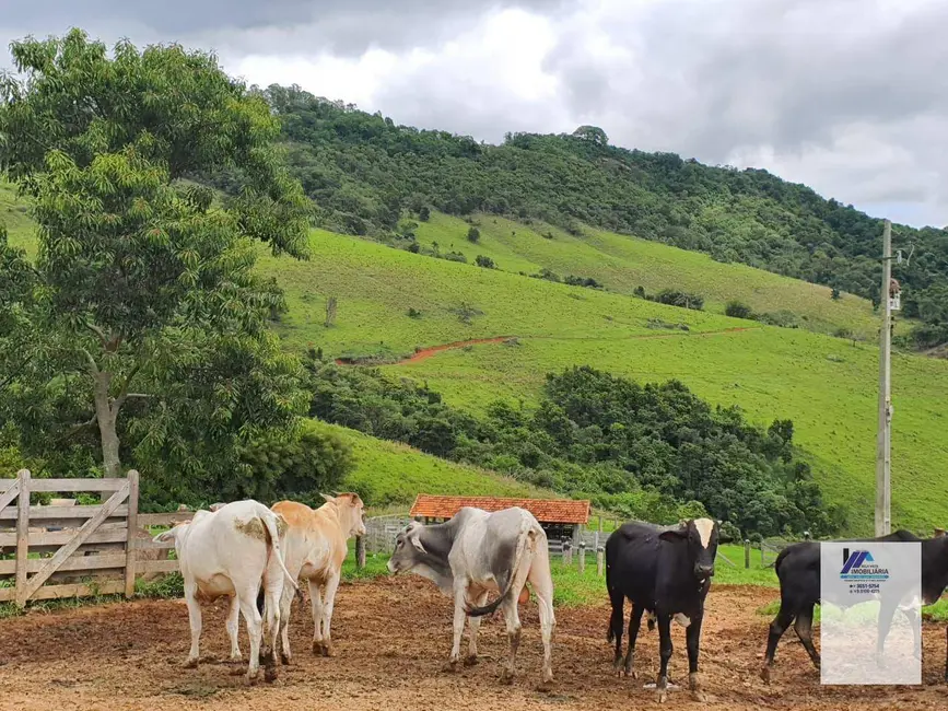 Foto 3 de Sítio / Rancho à venda, 1452000m2 em Socorro - SP