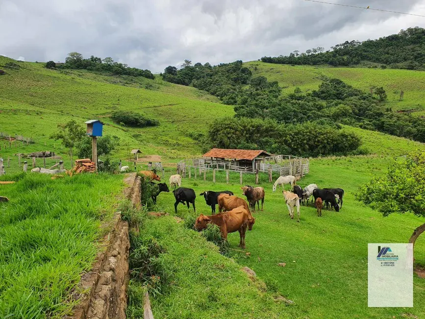 Foto 8 de Sítio / Rancho à venda, 1452000m2 em Socorro - SP