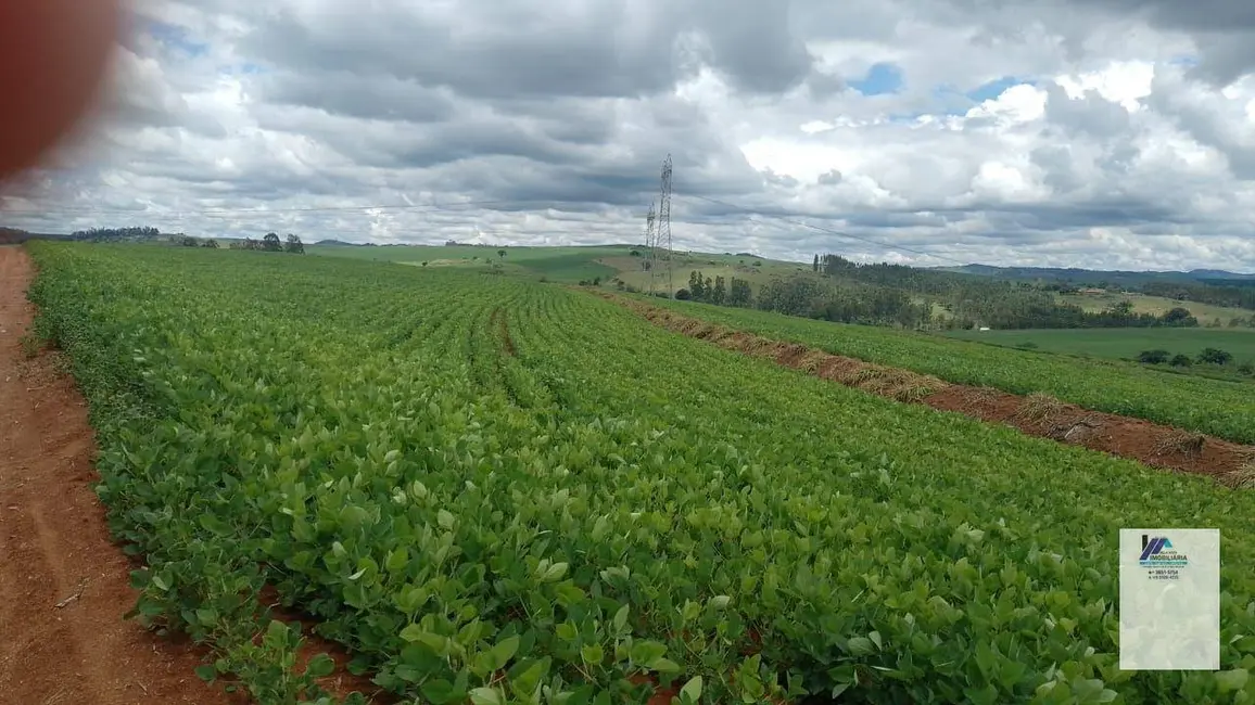 Foto 3 de Fazenda / Haras à venda, 1815000m2 em Mococa - SP