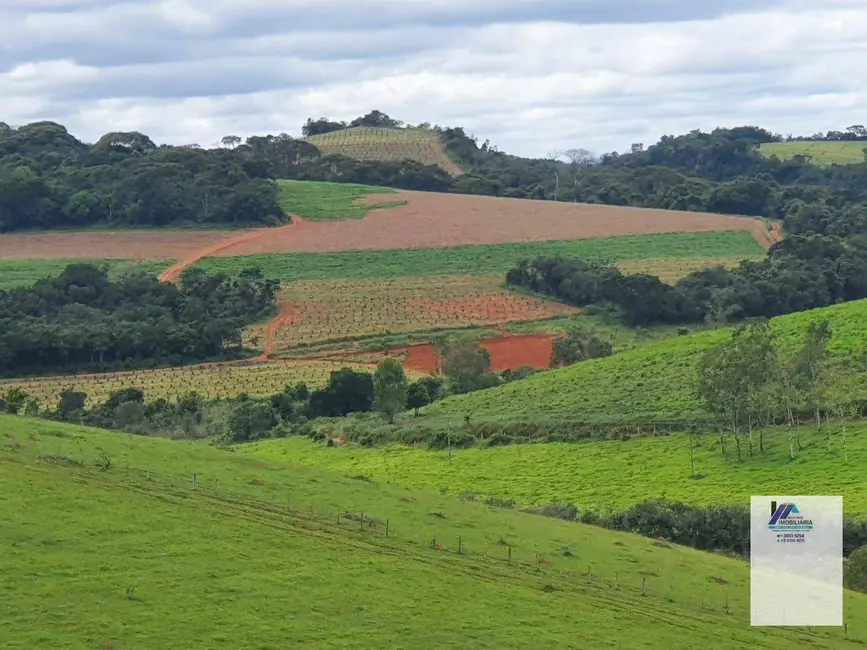 Foto 4 de Fazenda / Haras à venda, 1110000m2 em Sao Goncalo Do Sapucai - MG