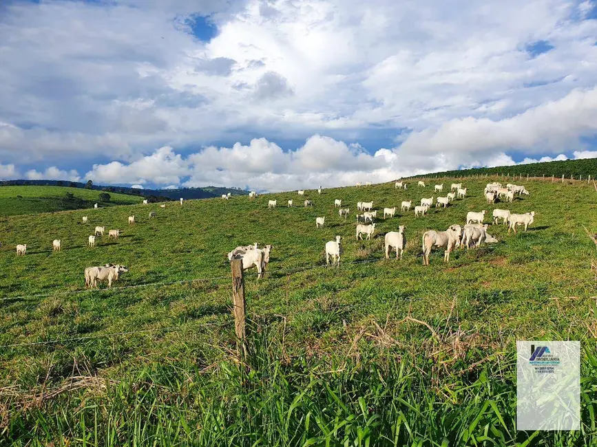 Foto 5 de Fazenda / Haras à venda, 1110000m2 em Sao Goncalo Do Sapucai - MG