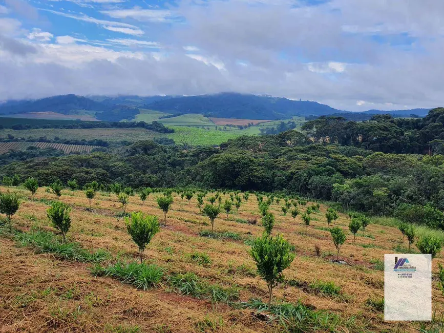 Foto 6 de Fazenda / Haras à venda, 1110000m2 em Sao Goncalo Do Sapucai - MG