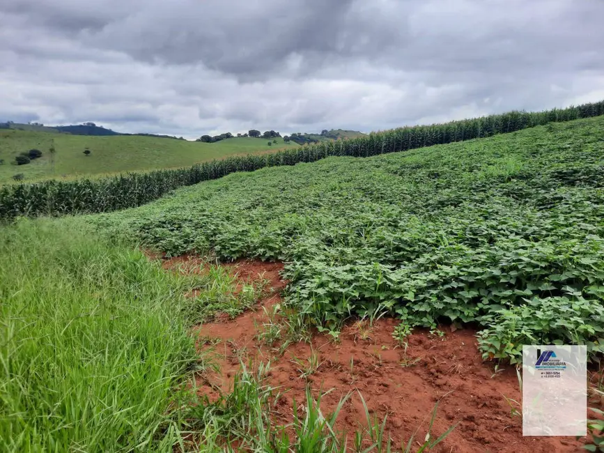 Foto 8 de Sítio / Rancho à venda, 1694000m2 em Ouro Fino - MG