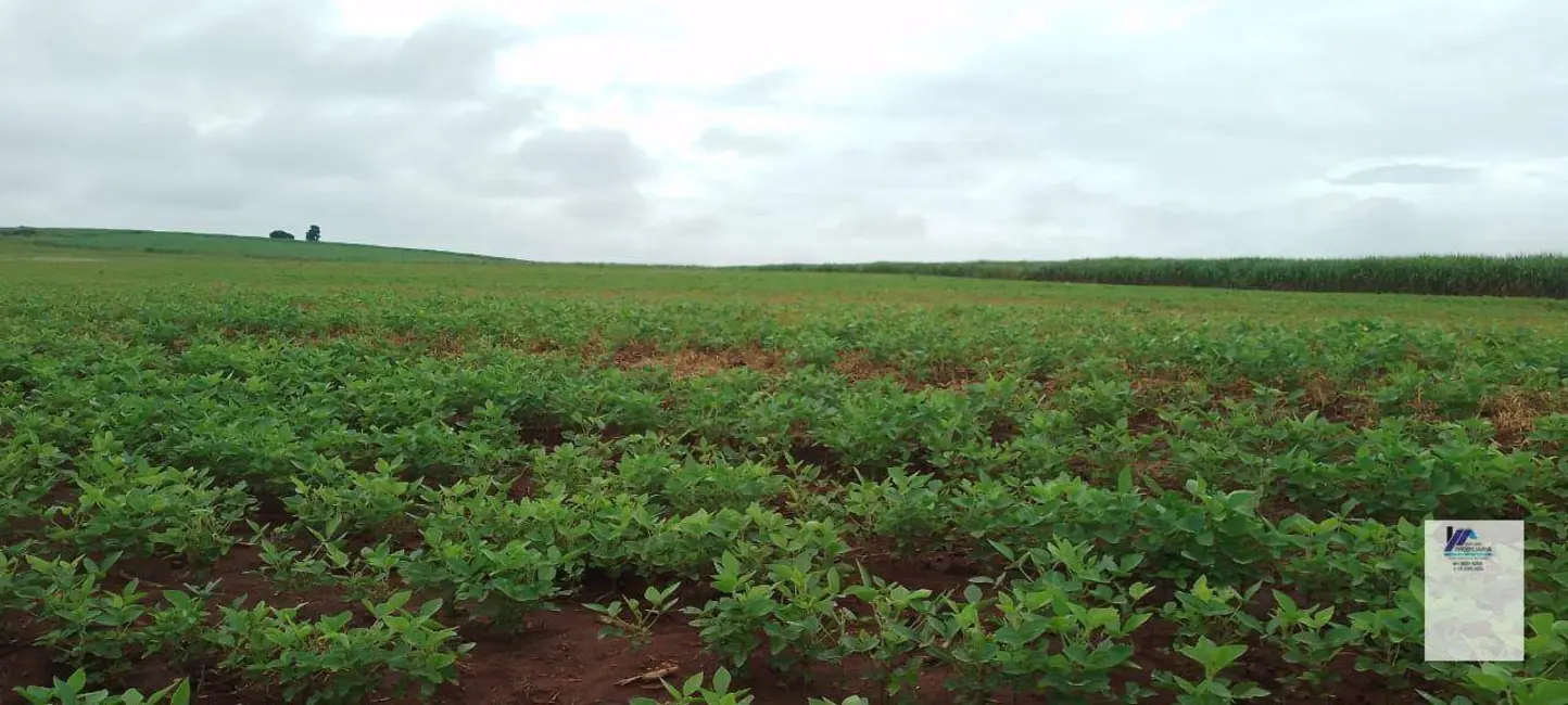 Foto 3 de Fazenda / Haras à venda, 830302m2 em Descalvado - SP