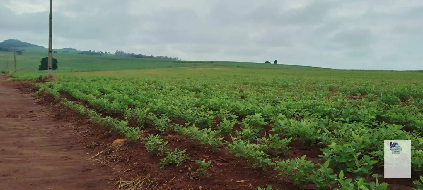 Foto 5 de Fazenda / Haras à venda, 830302m2 em Descalvado - SP