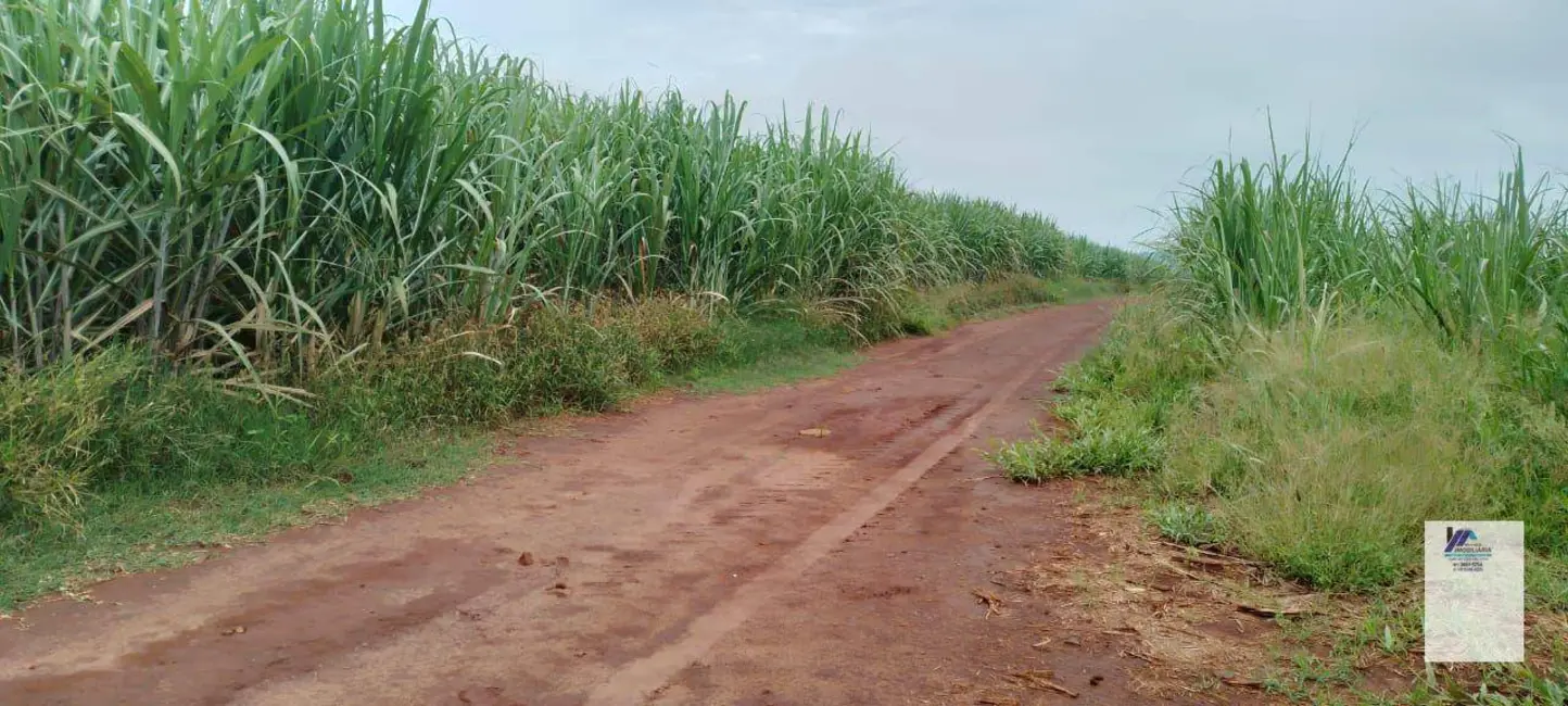 Foto 1 de Fazenda / Haras à venda, 830302m2 em Descalvado - SP