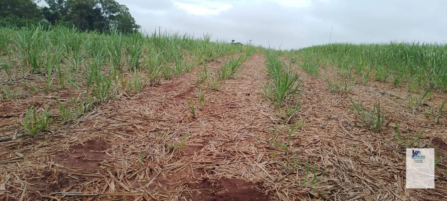 Foto 6 de Fazenda / Haras à venda, 830302m2 em Descalvado - SP