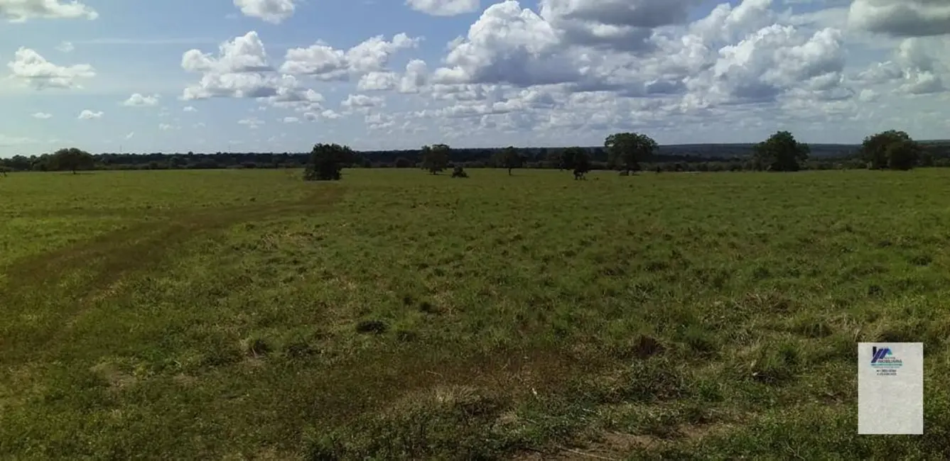 Foto 6 de Fazenda / Haras à venda, 16777215m2 em Santa Fe De Minas - MG