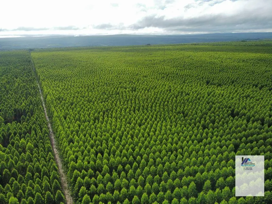 Foto 3 de Fazenda / Haras à venda, 16777215m2 em Montes Claros - MG