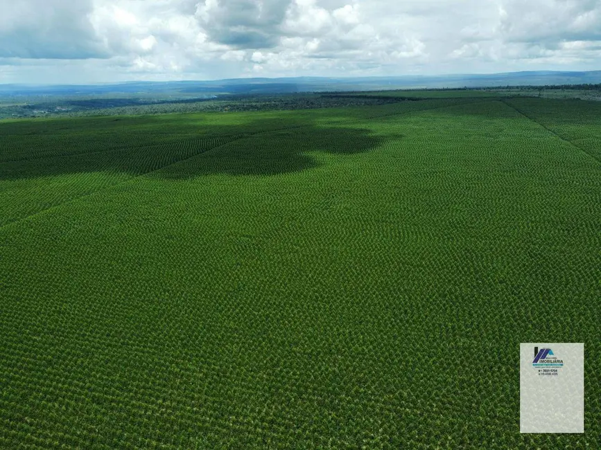 Foto 4 de Fazenda / Haras à venda, 16777215m2 em Montes Claros - MG