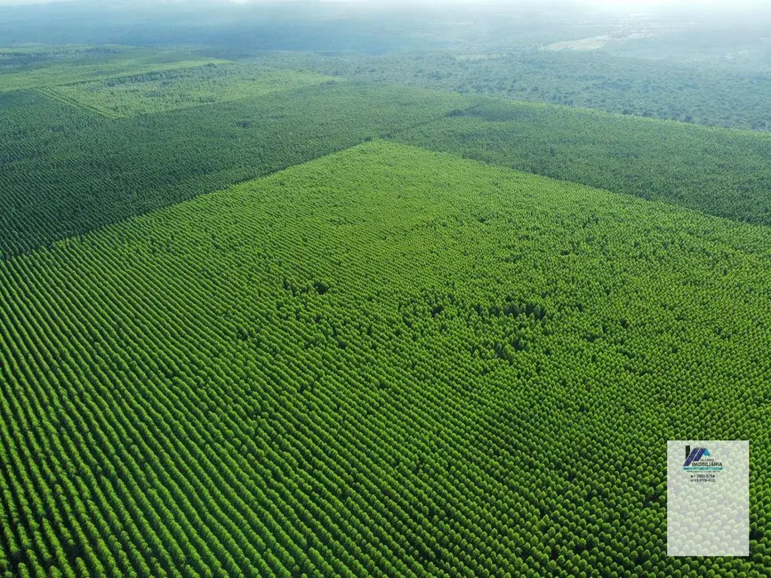 Foto 5 de Fazenda / Haras à venda, 16777215m2 em Montes Claros - MG
