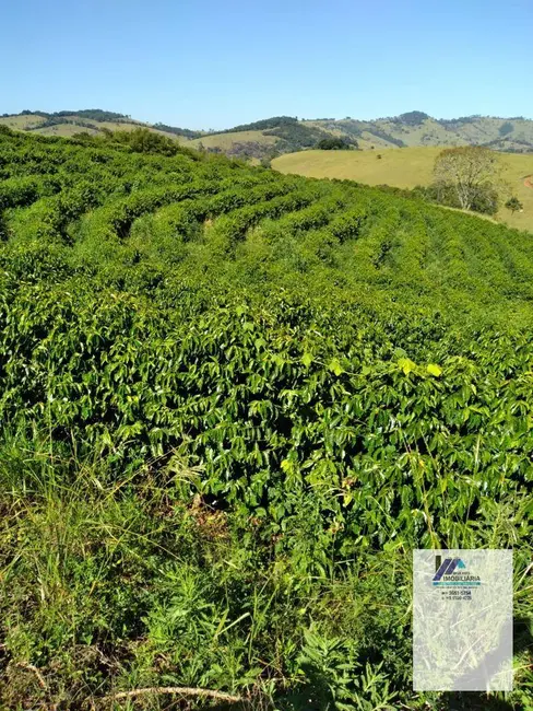 Fazenda / Haras à venda, 532400m2 em Sao Lourenco - MG - imagem 4 Foto 4 de Fazenda / Haras à venda, 532400m2 em Sao Lourenco - MG