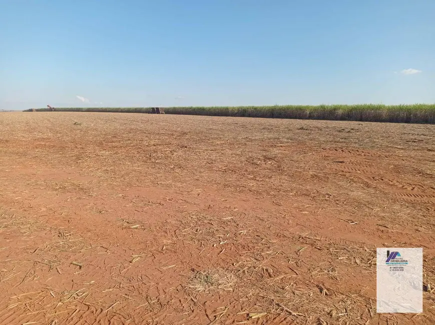 Fazenda / Haras à venda, 4961000m2 em Vila Progresso, Araraquara - SP - imagem 5 Foto 5 de Fazenda / Haras à venda, 4961000m2 em Vila Progresso, Araraquara - SP