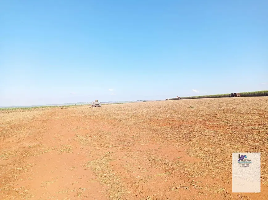 Fazenda / Haras à venda, 4961000m2 em Vila Progresso, Araraquara - SP - imagem 4 Foto 4 de Fazenda / Haras à venda, 4961000m2 em Vila Progresso, Araraquara - SP