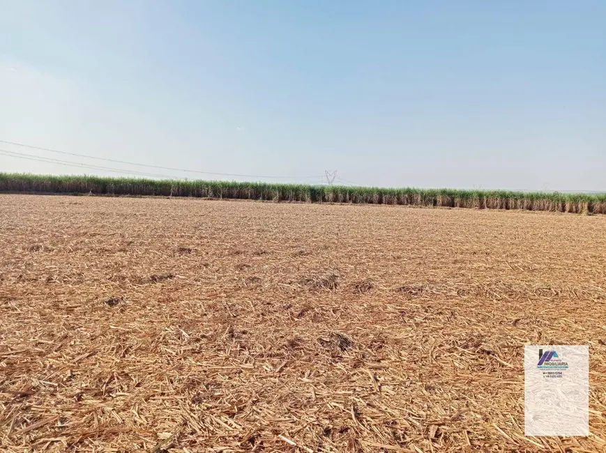 Fazenda / Haras à venda, 4961000m2 em Vila Progresso, Araraquara - SP - imagem 7 Foto 7 de Fazenda / Haras à venda, 4961000m2 em Vila Progresso, Araraquara - SP