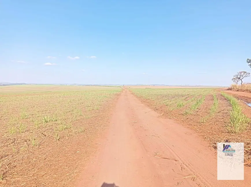 Fazenda / Haras à venda, 4961000m2 em Vila Progresso, Araraquara - SP - imagem 3 Foto 3 de Fazenda / Haras à venda, 4961000m2 em Vila Progresso, Araraquara - SP