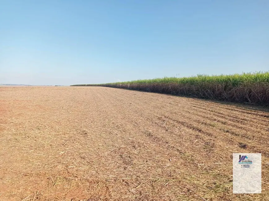 Fazenda / Haras à venda, 4961000m2 em Vila Progresso, Araraquara - SP - imagem 6 Foto 6 de Fazenda / Haras à venda, 4961000m2 em Vila Progresso, Araraquara - SP