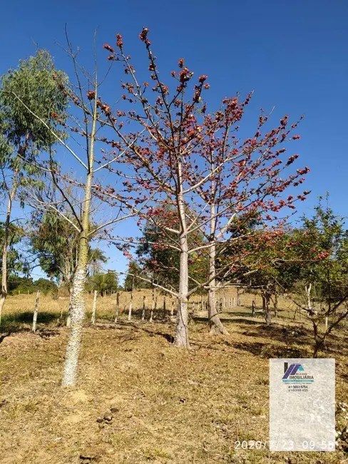 Sítio / Rancho à venda, 121000m2 em Espirito Santo Do Pinhal - SP - imagem 3 Foto 3 de Sítio / Rancho à venda, 121000m2 em Espirito Santo Do Pinhal - SP