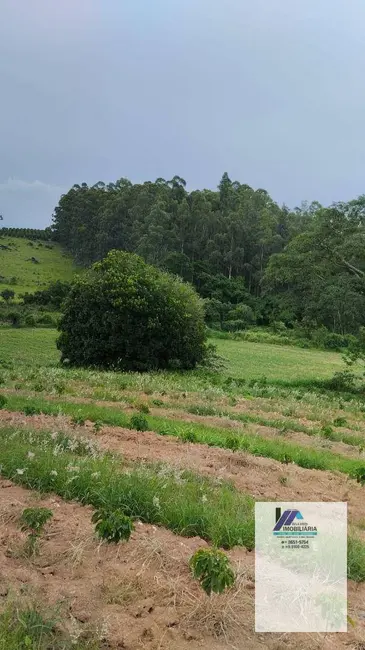 Foto 6 de Sítio / Rancho à venda, 40000m2 em Santo Antonio Do Jardim - SP