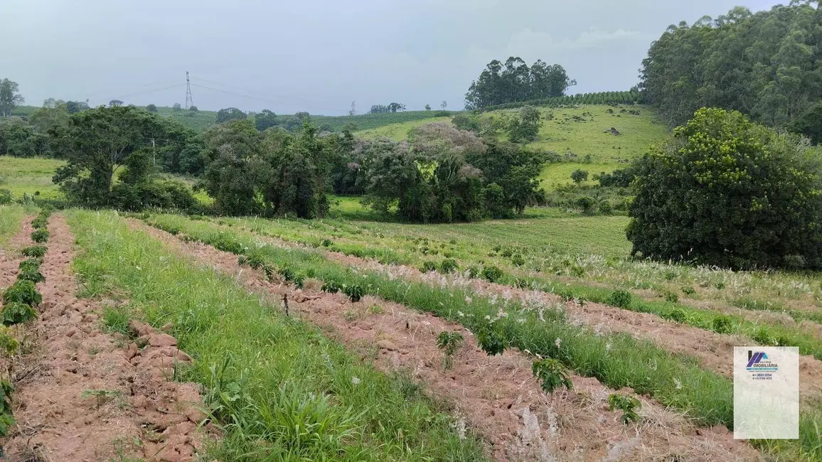 Foto 1 de Sítio / Rancho à venda, 40000m2 em Santo Antonio Do Jardim - SP