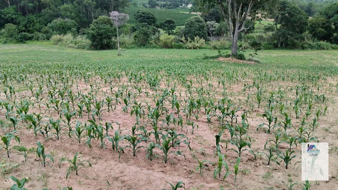 Foto 3 de Sítio / Rancho à venda, 40000m2 em Santo Antonio Do Jardim - SP