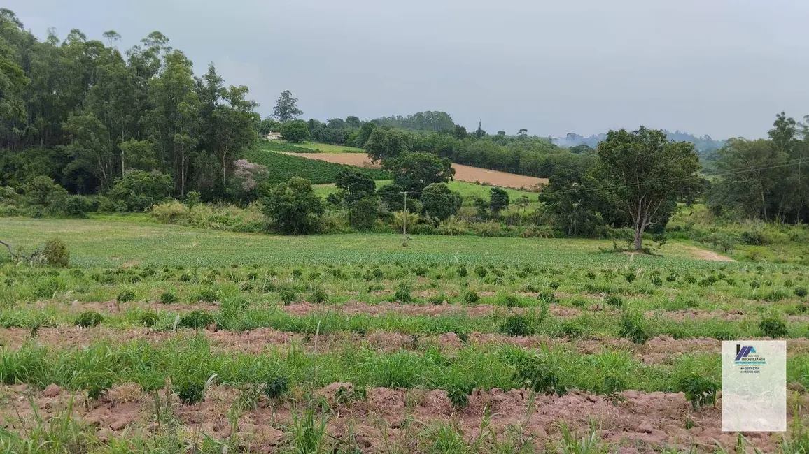 Foto 5 de Sítio / Rancho à venda, 40000m2 em Santo Antonio Do Jardim - SP