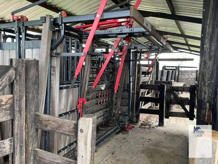 Foto 6 de Fazenda / Haras à venda, 14620000m2 em Almas - TO