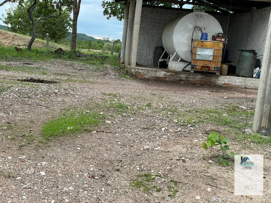 Foto 2 de Fazenda / Haras à venda, 14620000m2 em Almas - TO