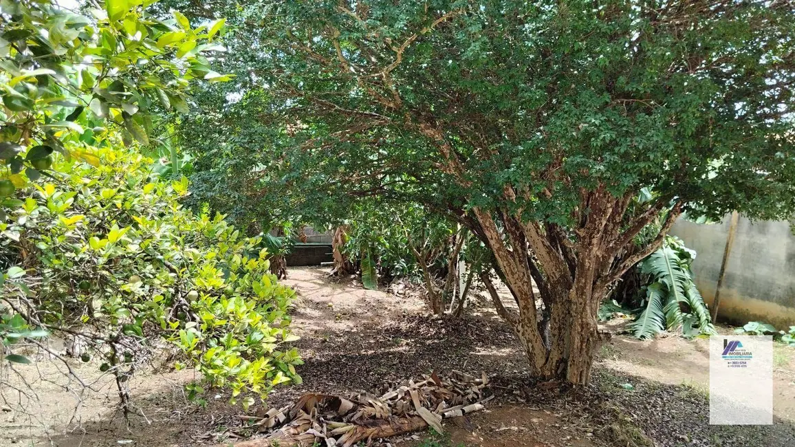 Foto 4 de Casa com 3 quartos à venda, 494m2 em Espirito Santo Do Pinhal - SP