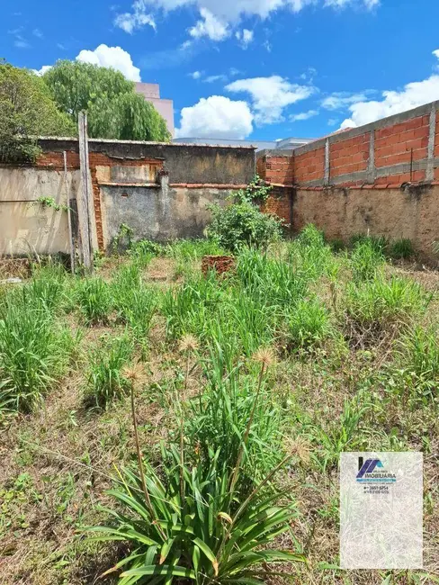 Foto 8 de Casa com 3 quartos à venda, 350m2 em Espirito Santo Do Pinhal - SP