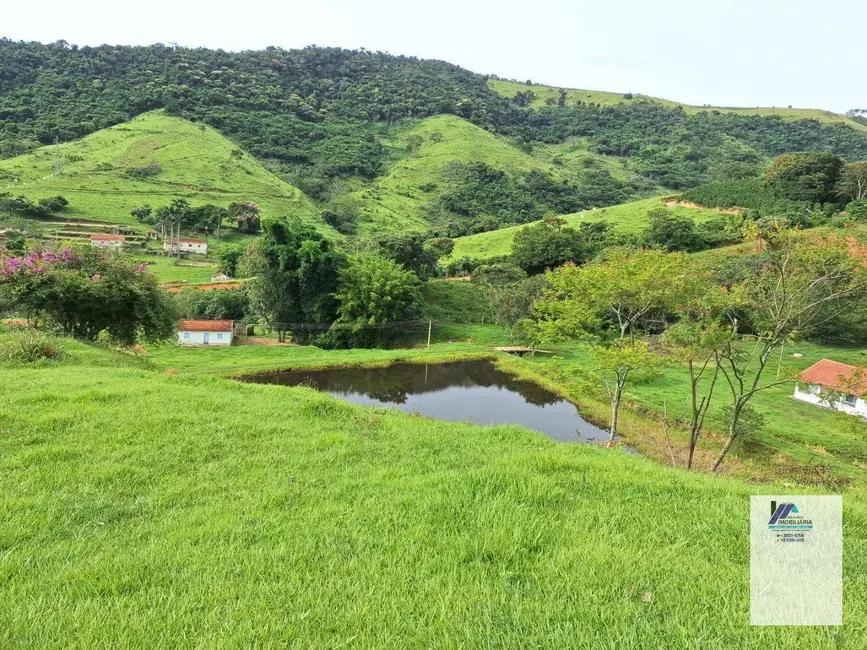 Foto 6 de Fazenda / Haras à venda, 847000m2 em Albertina - MG