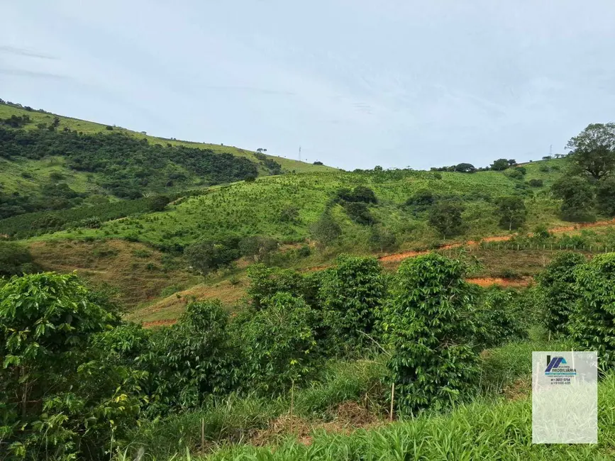 Foto 2 de Fazenda / Haras à venda, 847000m2 em Albertina - MG