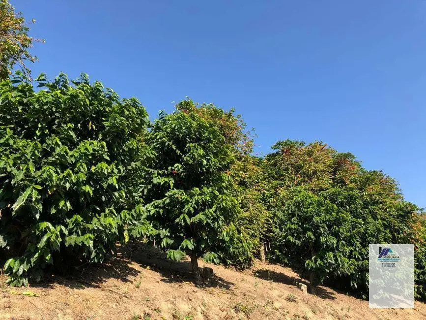 Foto 9 de Fazenda / Haras à venda, 847000m2 em Albertina - MG