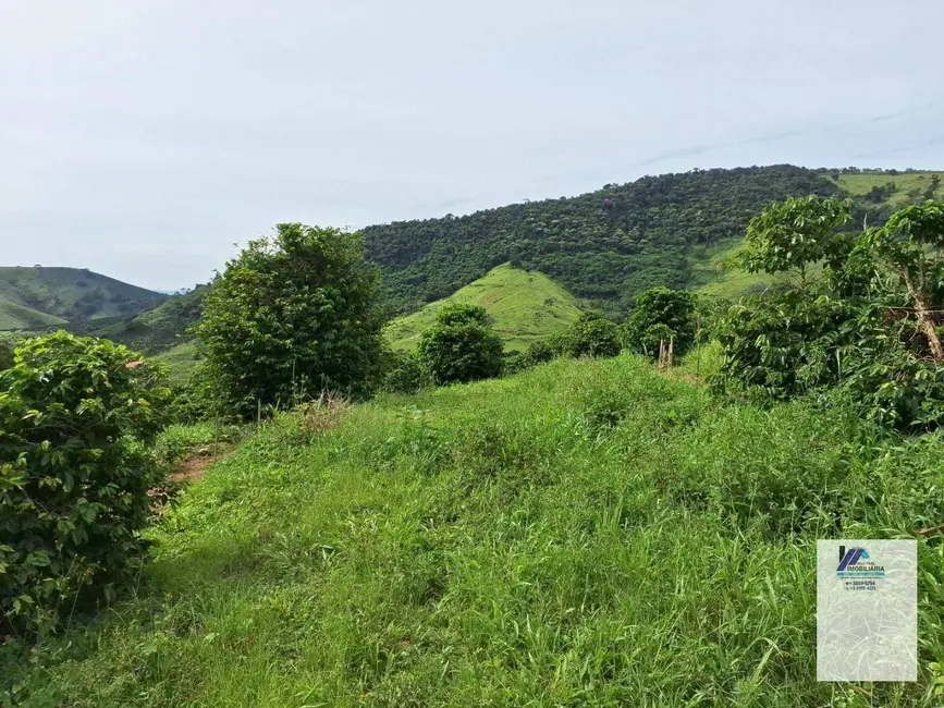 Foto 4 de Fazenda / Haras à venda, 847000m2 em Albertina - MG