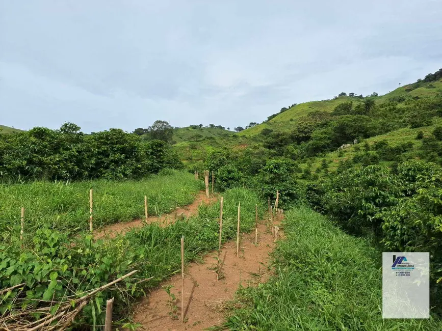 Foto 7 de Fazenda / Haras à venda, 847000m2 em Albertina - MG