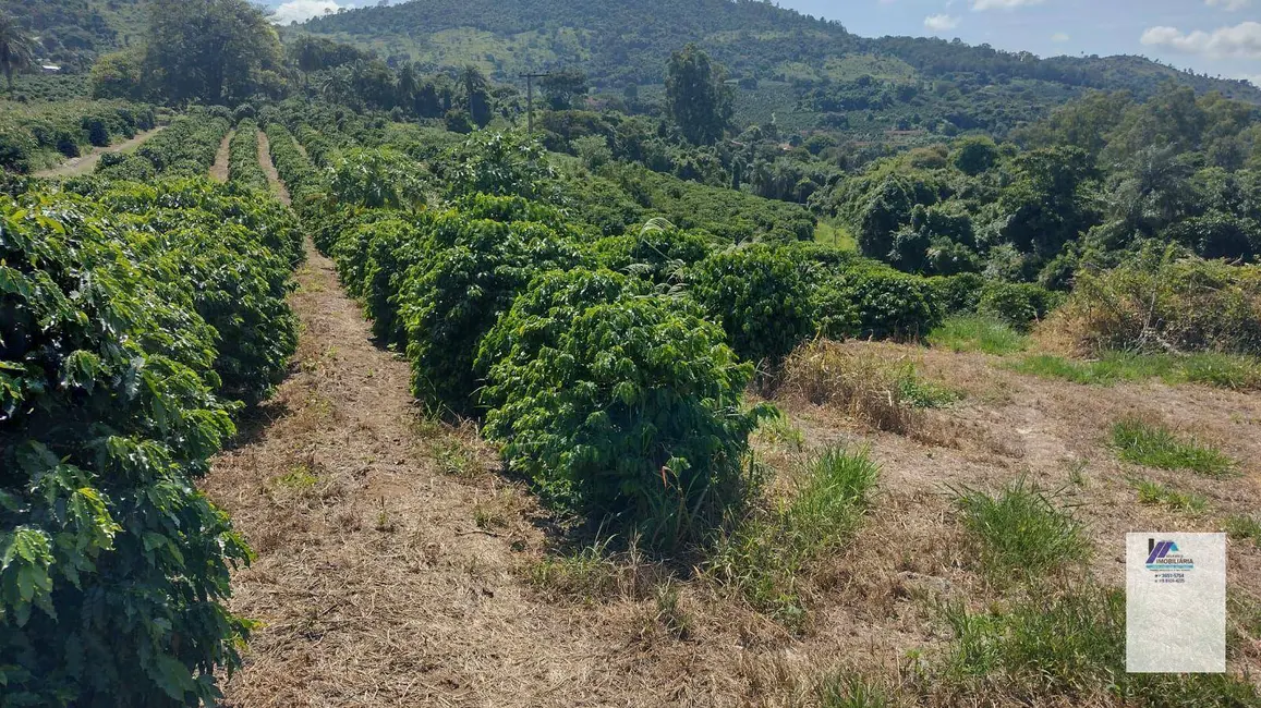 Sítio / Rancho à venda, 84700m2 em Espirito Santo Do Pinhal - SP - imagem 5 Foto 5 de Sítio / Rancho à venda, 84700m2 em Espirito Santo Do Pinhal - SP