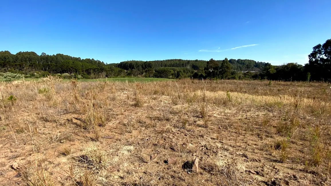 Foto 6 de Terreno / Lote à venda, 9430m2 em Sao Lourenco Do Oeste - SC