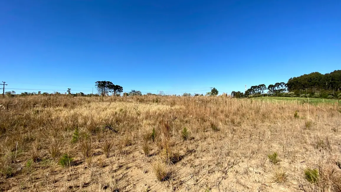 Foto 4 de Terreno / Lote à venda, 9430m2 em Sao Lourenco Do Oeste - SC