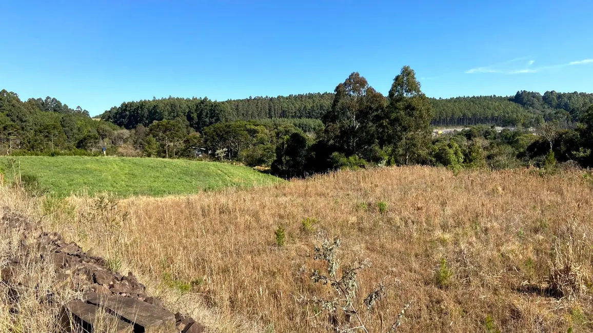 Foto 3 de Terreno / Lote à venda, 9430m2 em Sao Lourenco Do Oeste - SC