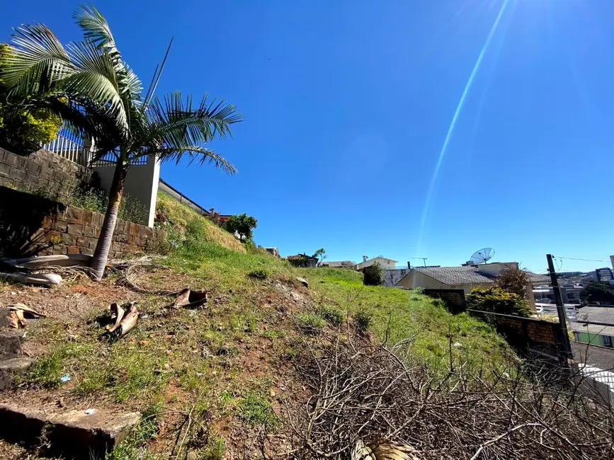 Foto 6 de Terreno / Lote à venda, 562m2 em Sao Lourenco Do Oeste - SC